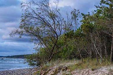 DeFi's October Implosion: What's Left to 'Perform' & The Brave (or Stupid) Investor Trends for 2025